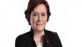 Adana'da bakan izdihamı