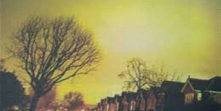 Işık kirliliğinin doğal hayat üzerindeki etkisi nedir ?