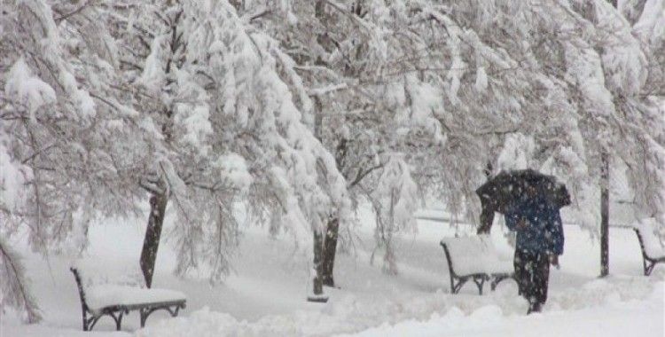 Kar doğayı mikroplardan temizler mi