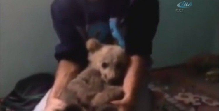 Dağda bulduğu ayıya evini açtı..