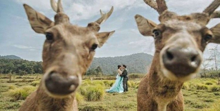 Trollüğün Gücü Adına