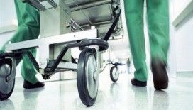 Ada'da domuz gribine ikinci kurban