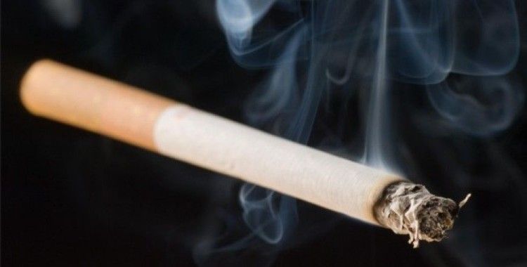 Maltepe'de işletmelere sigara denetimi