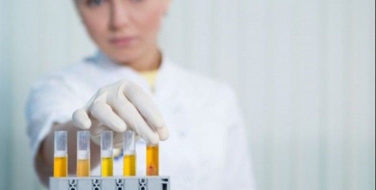 İdrarda protein neden olur