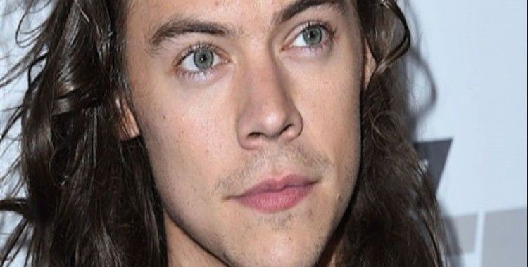 Harry Styles hostesine aşık oldu
