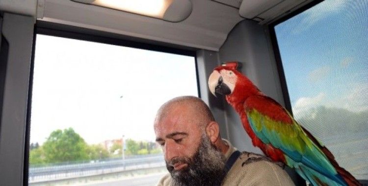 Bu papağan Allah diyor