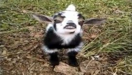 Gülümse çekiyoruz :)