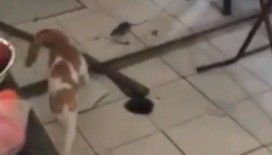 Tam tersi olması gerekmiyor muydu 