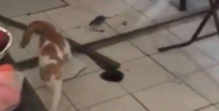 Tam tersi olması gerekmiyor muydu 