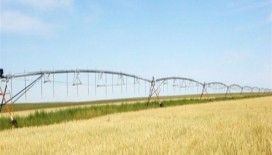 Çiftçilere 5 bin ton buğday tohumu verilecek