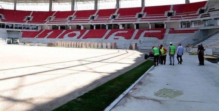 Eskişehir'in yeni stadında çimler seriliyor
