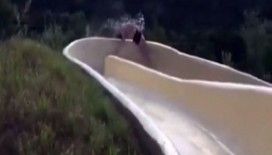 Su kayağı yaparken inanılmaz kaza