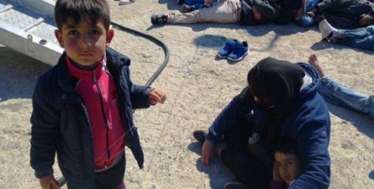 Balıkesir'de 63 kaçak göçmen yakalandı