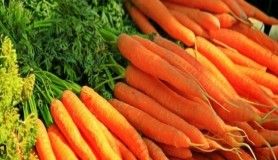 Unutkanlığın ilacı havuç suyu