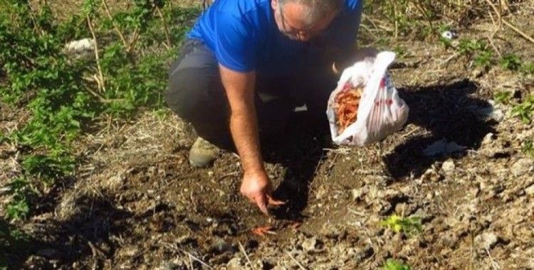 NİDOST üyeleri doğaya sahip çıkıyor
