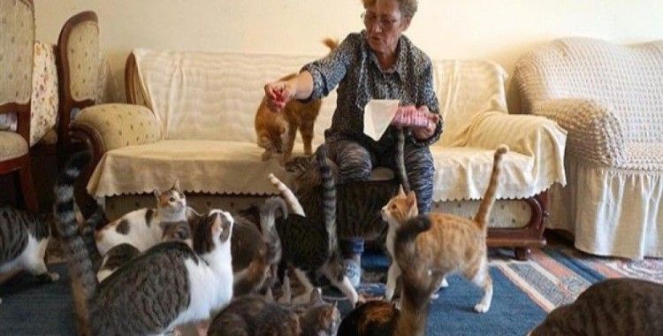 80 kedisiyle kiralık ev arıyor
