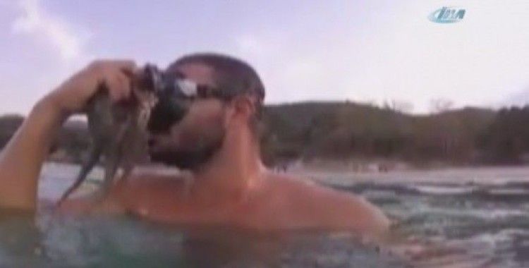 ​Ahtapot yüzüne böyle yapıştı