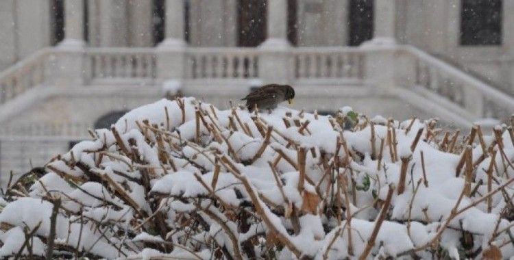 İç Anadolu'da kar yağışı etkili oluyor