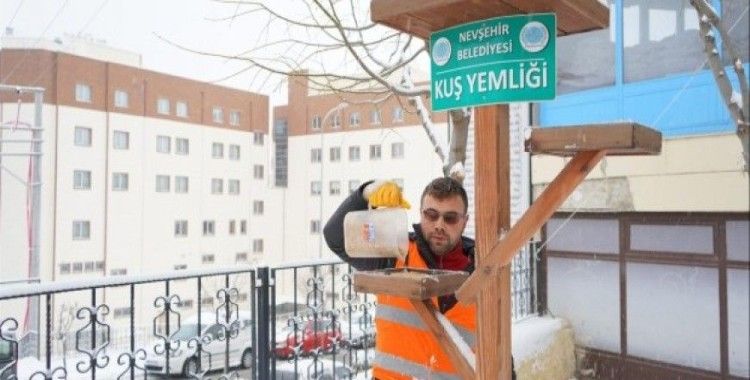 Nevşehir'de kuşlar aç kalmayacak