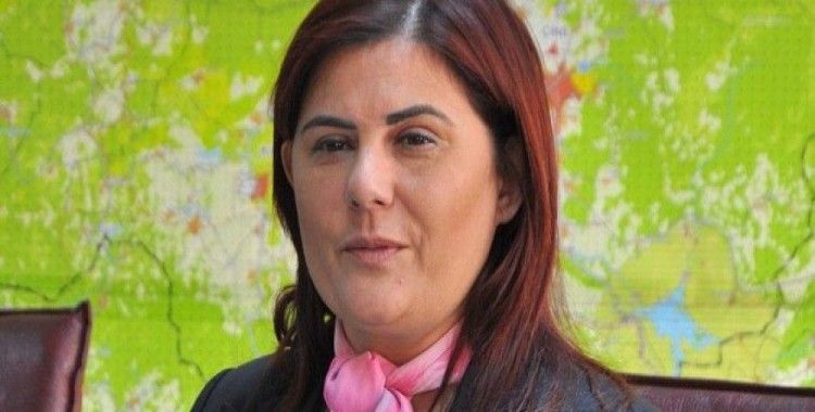 CHP'li Çerçioğlu'ndan Türk lirasına destek