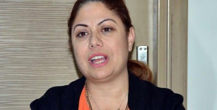 CHP Genel Başkan Yardımcısı Altıok'tan 'OHAL' tepkisi
