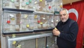 Böyle kuş sevgisi görülmedi