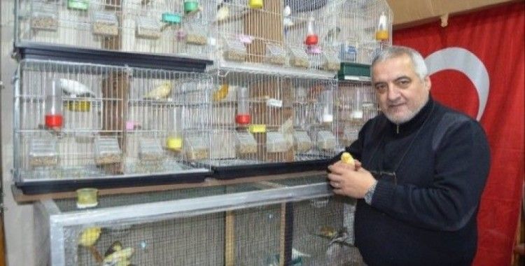 Böyle kuş sevgisi görülmedi