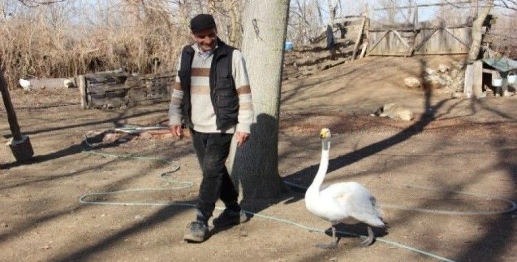 Bir 'Garip' dostluk hikayesi