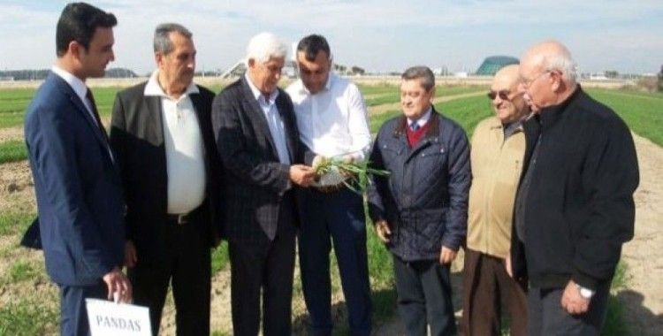 'Antalya Buğdayını Arıyor' projesi