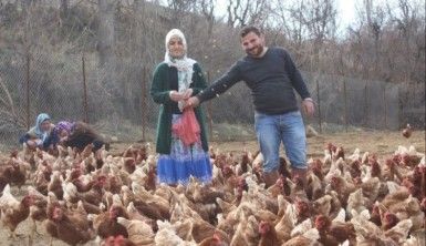 Atanamayan eşine destek olmak istedi, Tavuk çiftliği kurdu