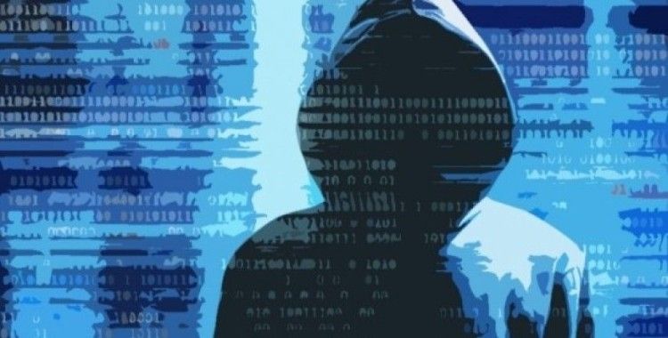 Türk hackerlerdan Hollanda'ya siber saldırı