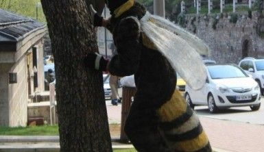 Bu arı Canan Karatay’ı sokmak istiyor