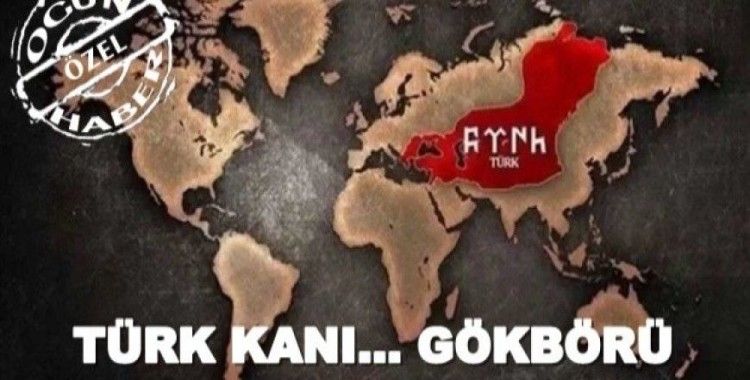 Türk kanı... Gökbörü