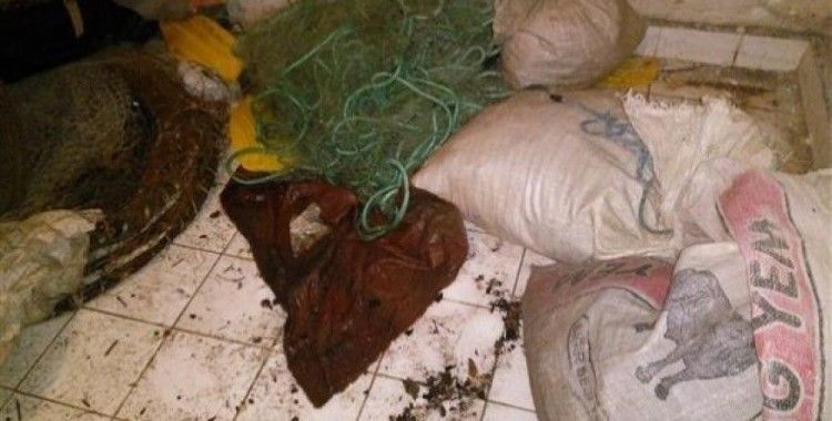 Kaçak balık avlayan kişiye bin 150 lira ceza kesiti