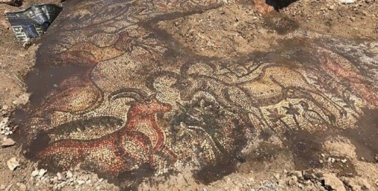 Adıyaman'da 1600 yıllık mozaik bulundu