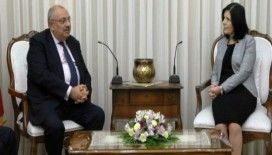 Türkeş Siber'le görüştü