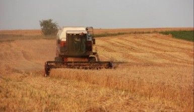 Çiftçilerin buğday hasadı mesaisi sürüyor