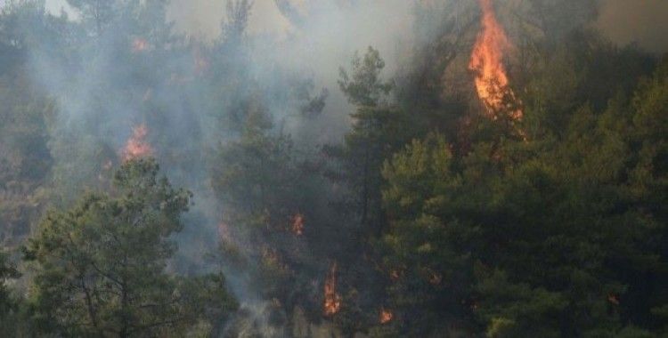 Meteoroloji'den 'orman yangını' uyarısı