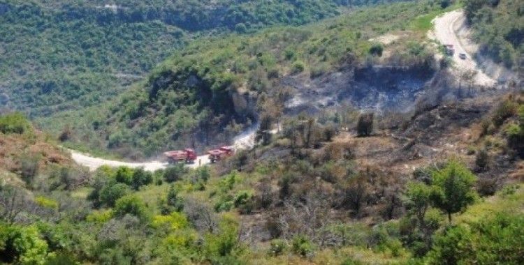 Suriye sınırındaki yangın Türkiye'ye sıçradı