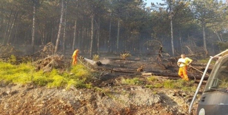 Bursa’da orman yangını, 5 hektar kül oldu