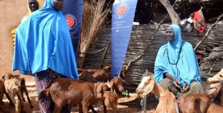 Nijer’de kadınlara küçükbaş hayvan desteği