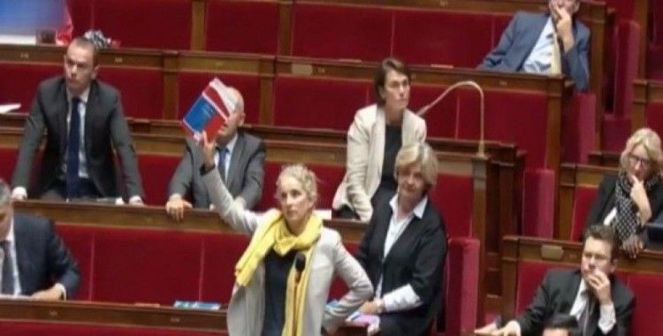 Fransa meclisinde yasa tasarısı tepkisi