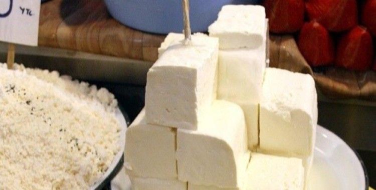 Türkiye'nin peynir ihracatı 10 katına çıkabilir