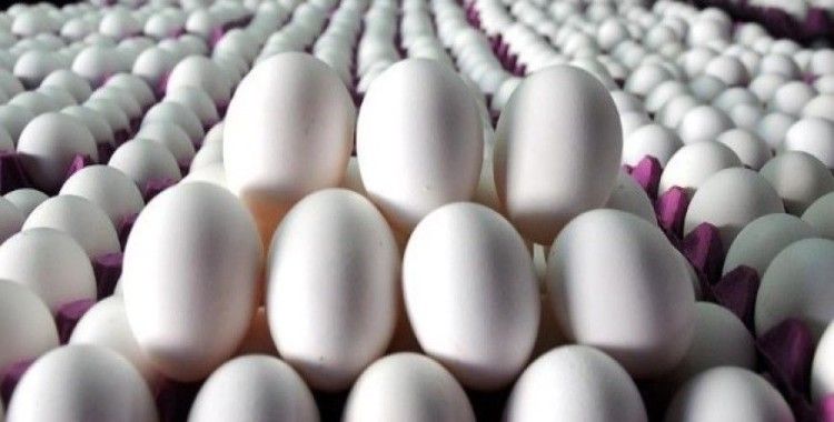 Almanya Hollanda'dan 5 milyar adet yumurta aldı