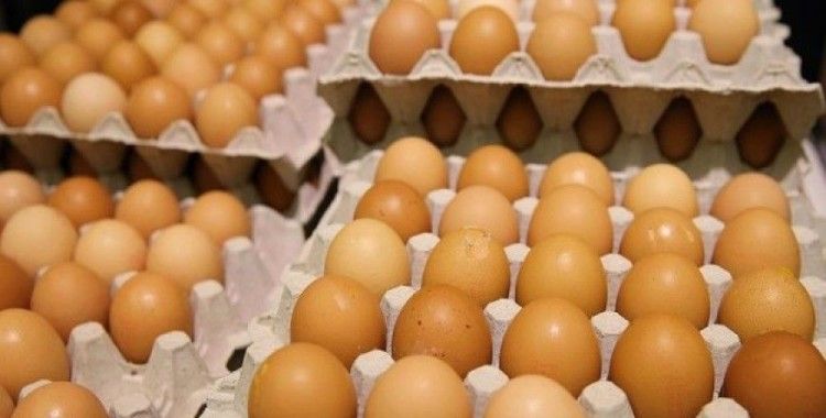 ​Hollanda hükümetinden 'ilaçlı yumurta' açıklaması