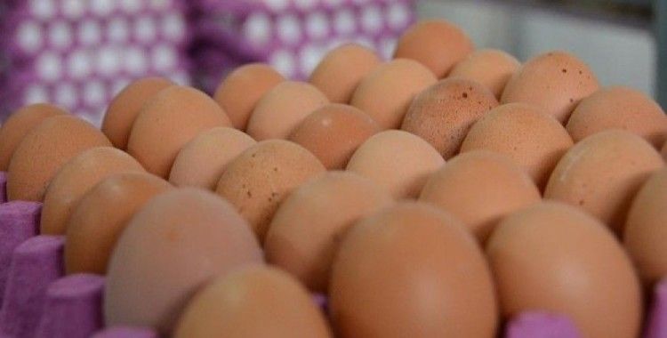 ​Böcek ilaçlı yumurtalara Macaristan'da da rastlandı
