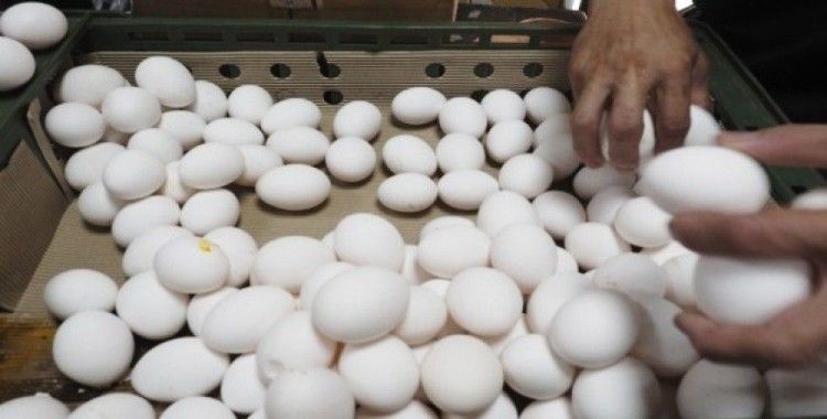 Yumurta krizi bir ülkeye daha sıçradı