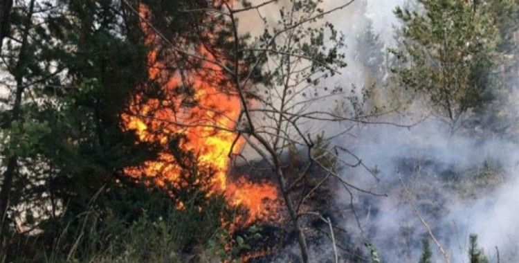 Orman yangını 7 gün sonra söndürüldü