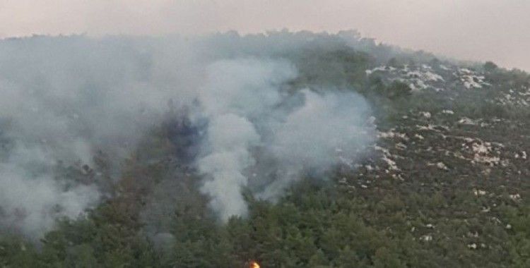 Milas’ta çıkan orman yangını kontrol altına alındı