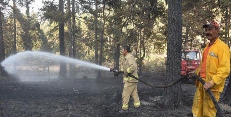 Yangın savaşçıları'nın günlerdir alevlerle mücadelesi